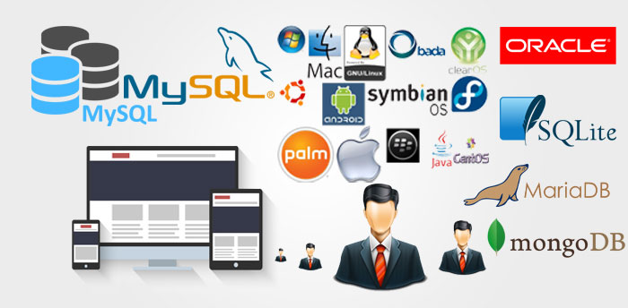  6 Komponen Sistem Database