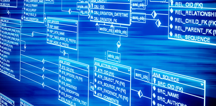  5 Aturan dalam perancangan database