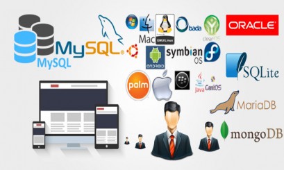  6 Komponen Sistem Database